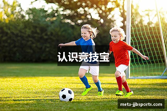 认识竞技宝
